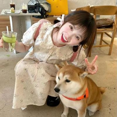 鸿运当头